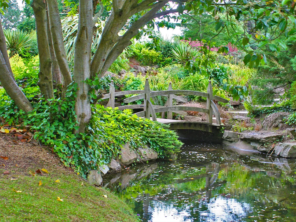 bridges-gallery9